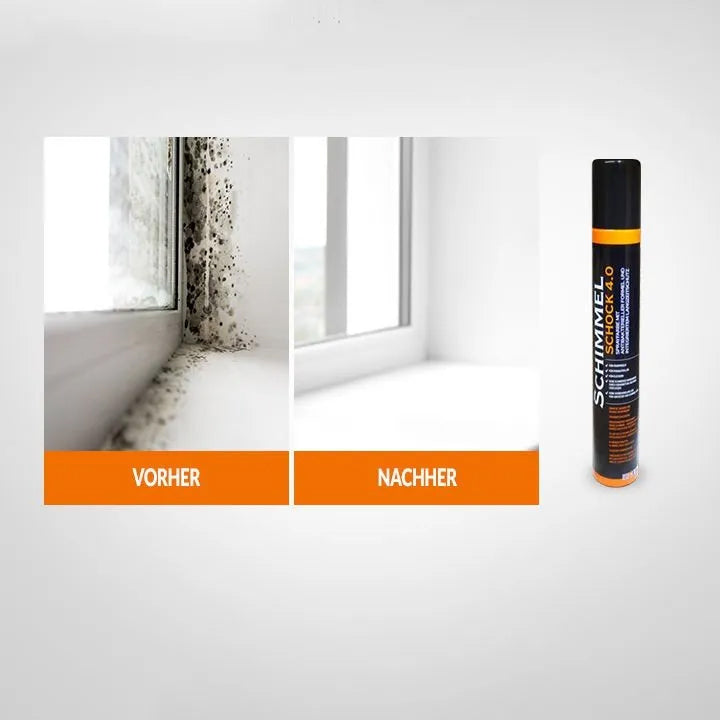 Schimmelspray 4.0 - (1x 300 ml) für 1,5 m2