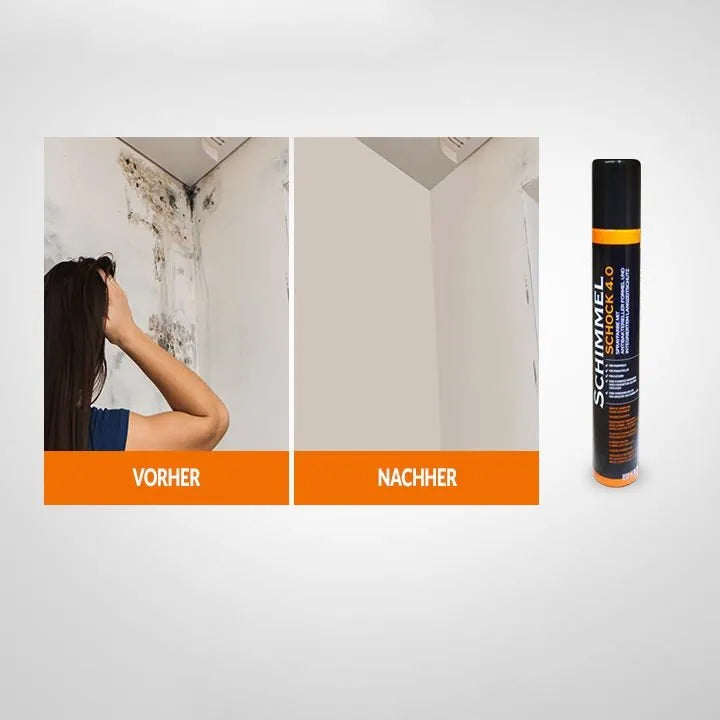 Schimmelspray 4.0 - (1x 300 ml) für 1,5 m2