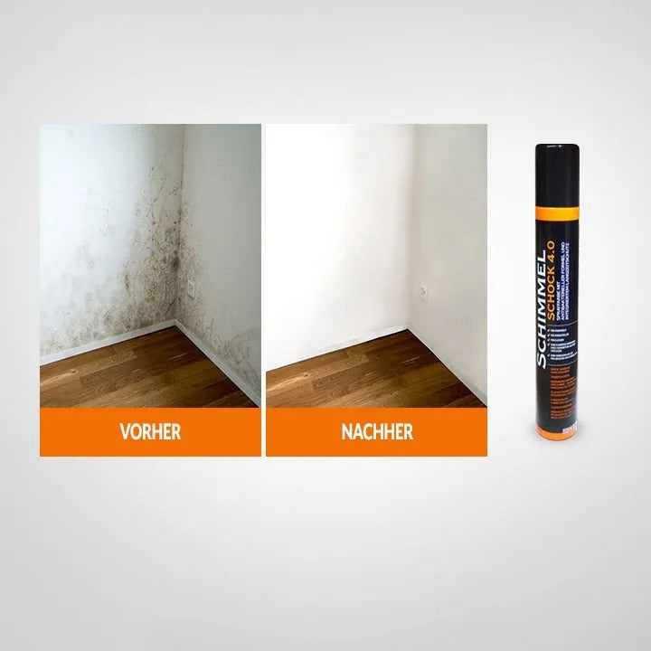 Schimmelspray 4.0 - (1x 300 ml) für 1,5 m2