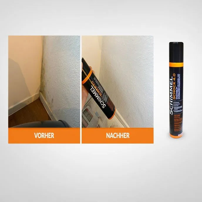 Schimmelspray 4.0 - (1x 300 ml) für 1,5 m2